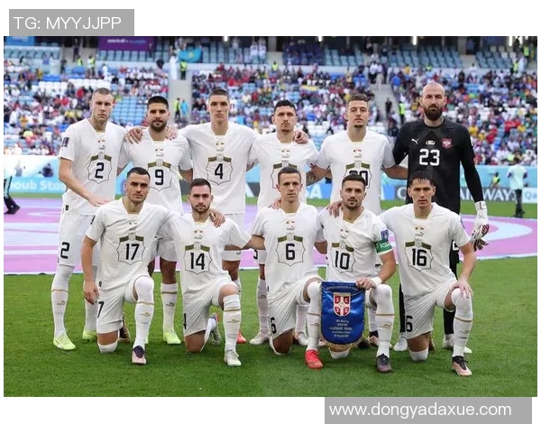 全球足球比赛最新排名分析及各大联赛球队表现评估